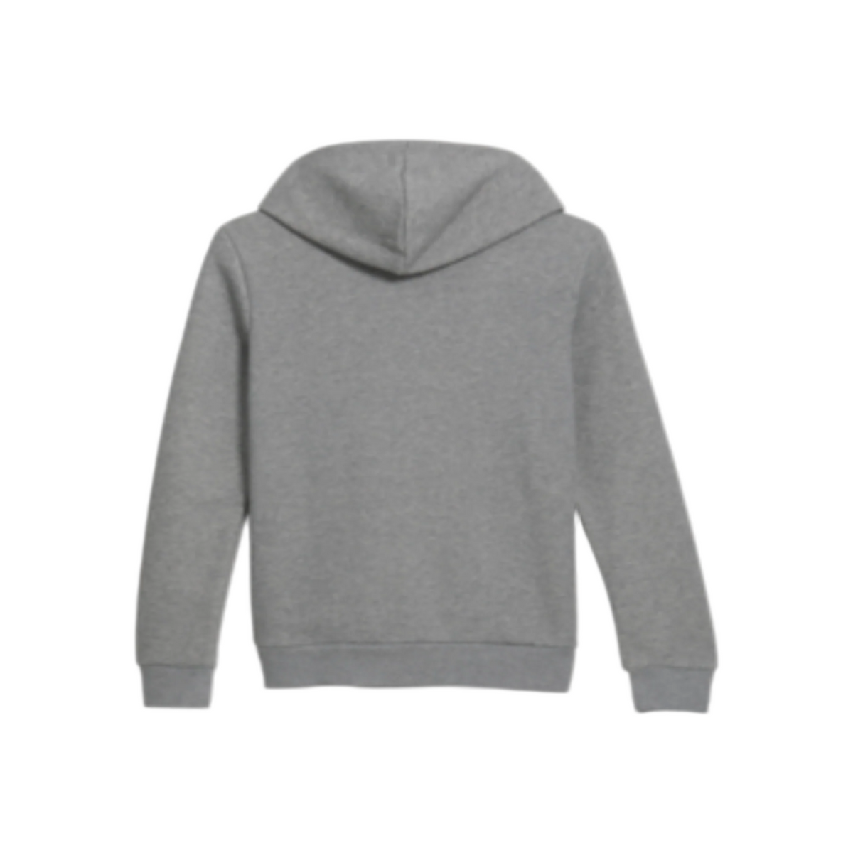 Women's Puma Iridescent Fleece Hoodie