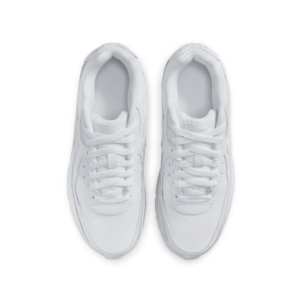Big Kids’ Nike Air Max 90 LTR "White Metallic Silver"