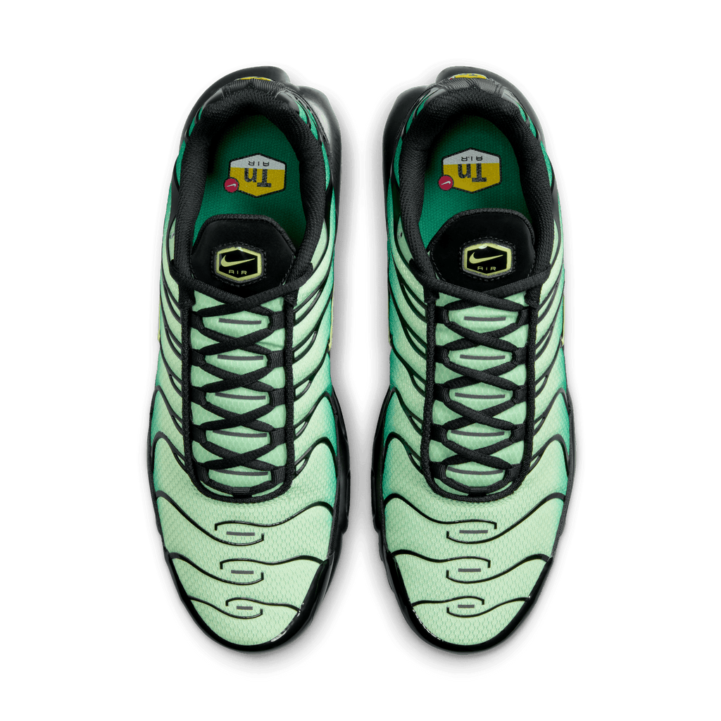 Men's Nike Air Max Plus "Vapor Green Gradient"