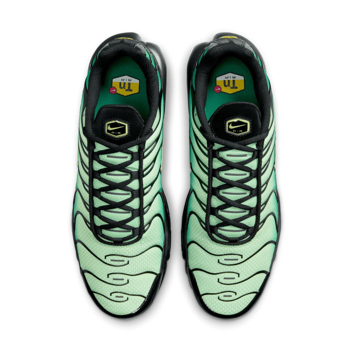 Men's Nike Air Max Plus "Vapor Green Gradient"