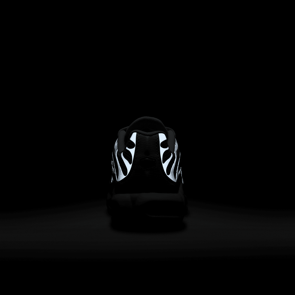 Women's Air Max Plus “Grey Sliver Chrome”