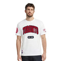 Men's Pro Standard Toronto Raptors City Arch Tee