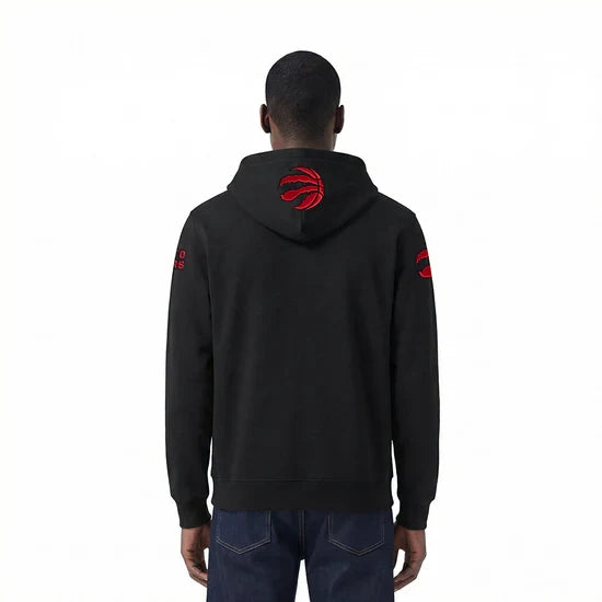 Men's Pro Standard Toronto Raptors Hoodie