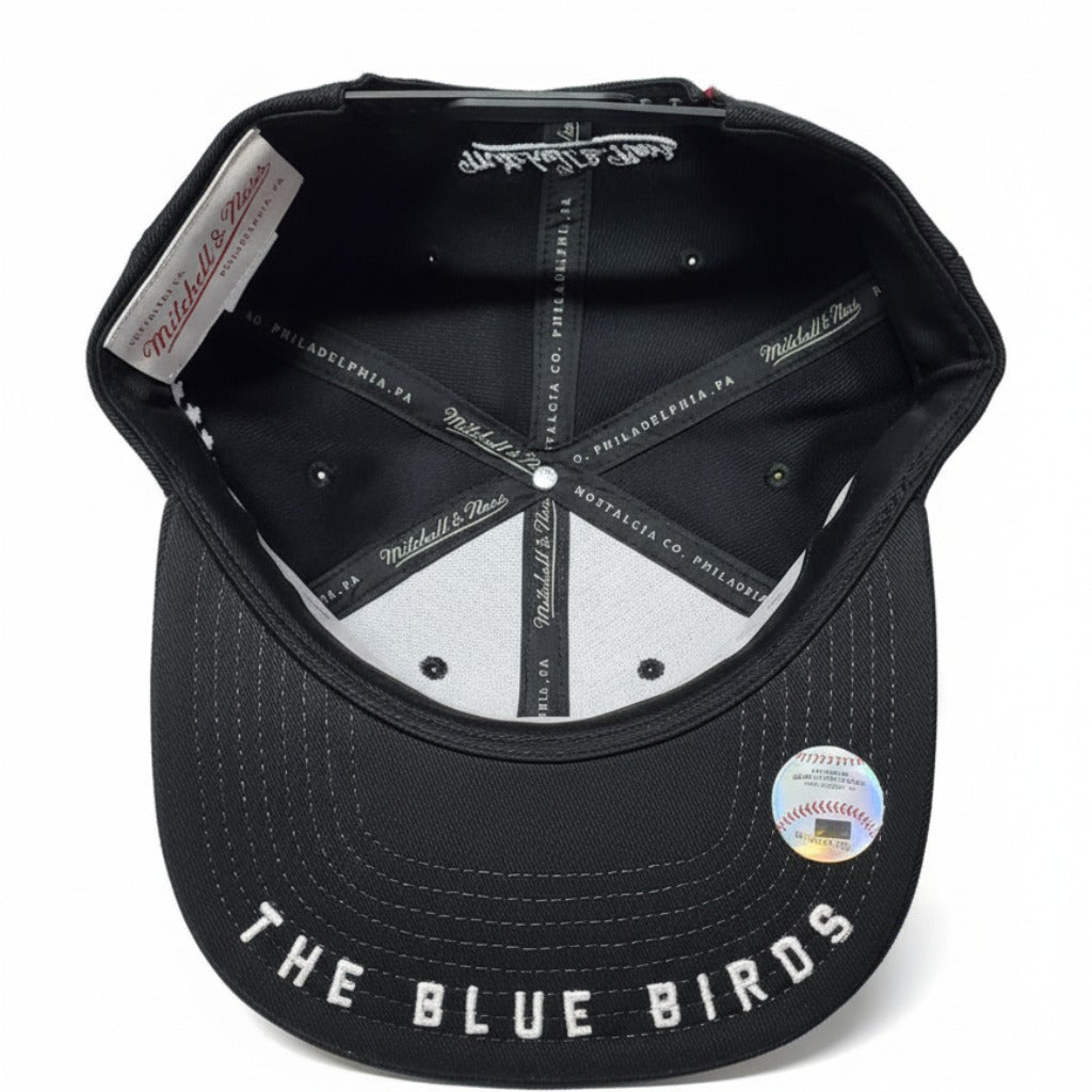 Men's Mitchell And Ness MLB Toronto Blue Jays City Spotlight Snapback