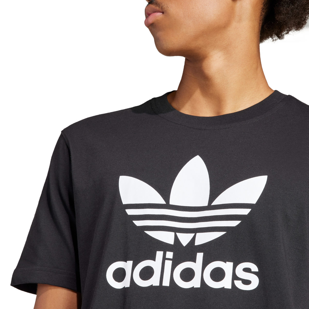 Men's Adidas Originals Adicolor Trefoil Tee