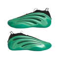 Men's/Women's Adidas Harden Volume 9 "Metamorphosis"