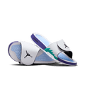 Men's Jordan Hydro 5 Retro "Grape"